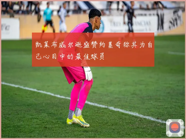 凯莱布威尔逊盛赞约基奇称其为自己心目中的最佳球员