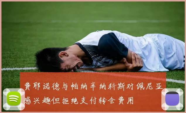 费耶诺德与帕纳辛纳科斯对佩尼亚感兴趣但拒绝支付转会费用